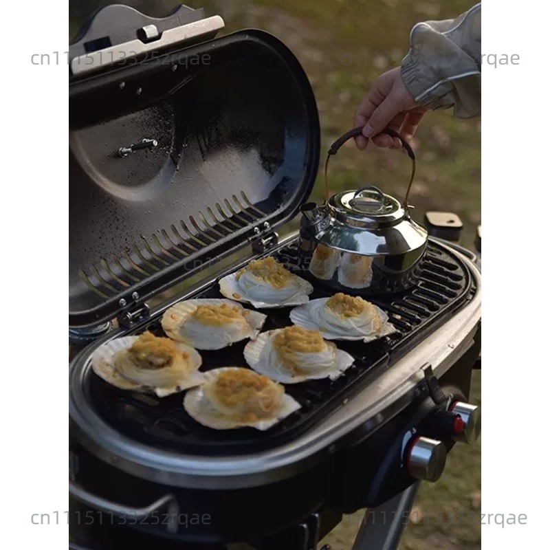 Tragbarer Gas-Kochherd für Inn – Outdoor Camping Griddle Bewertung und Preis